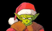 piccolo_3.jpg (3291 octets)