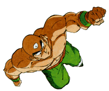 tenshinhan.gif (14410 octets)