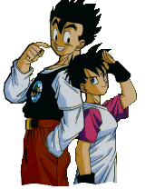 videl.gif (14699 octets)
